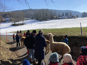 Image - 07.03.2023_Journee_blanche_13.jpeg