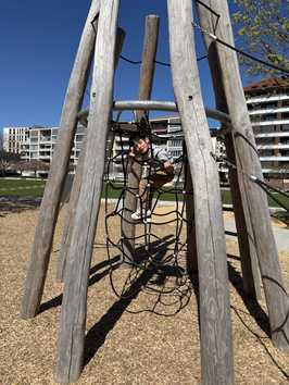 Image - 07.04.2025_Poussins_5.png