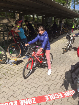 Image - 03.05.2021_Velo_6H_4.jpeg