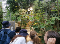 Image - 28.06.2022_Course_d_ecole_7.jpeg