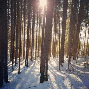 Image - Hiver.jpg