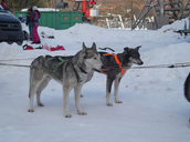 Image - Journee_neige_26.01.2019_2.JPG
