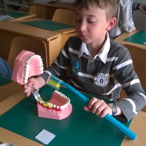 Image - WP_20170518_007-bis.jpg