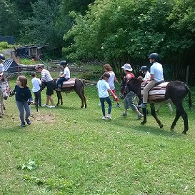 Image - WP_20170627_007.jpg