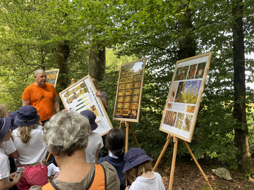 Image - 27.06.2023_Course_d_ecole_3.jpg